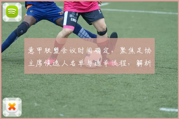 意甲联盟会议时间确定，聚焦足协主席候选人名单与选举流程，解析马拉戈高支持率对意甲影响
