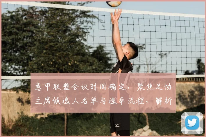 意甲联盟会议时间确定，聚焦足协主席候选人名单与选举流程，解析马拉戈高支持率对意甲影响